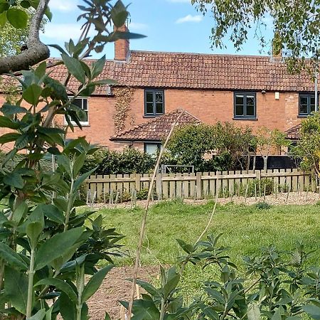 Tor Cottage, Perfectly Positioned! 格拉斯顿伯里 外观 照片