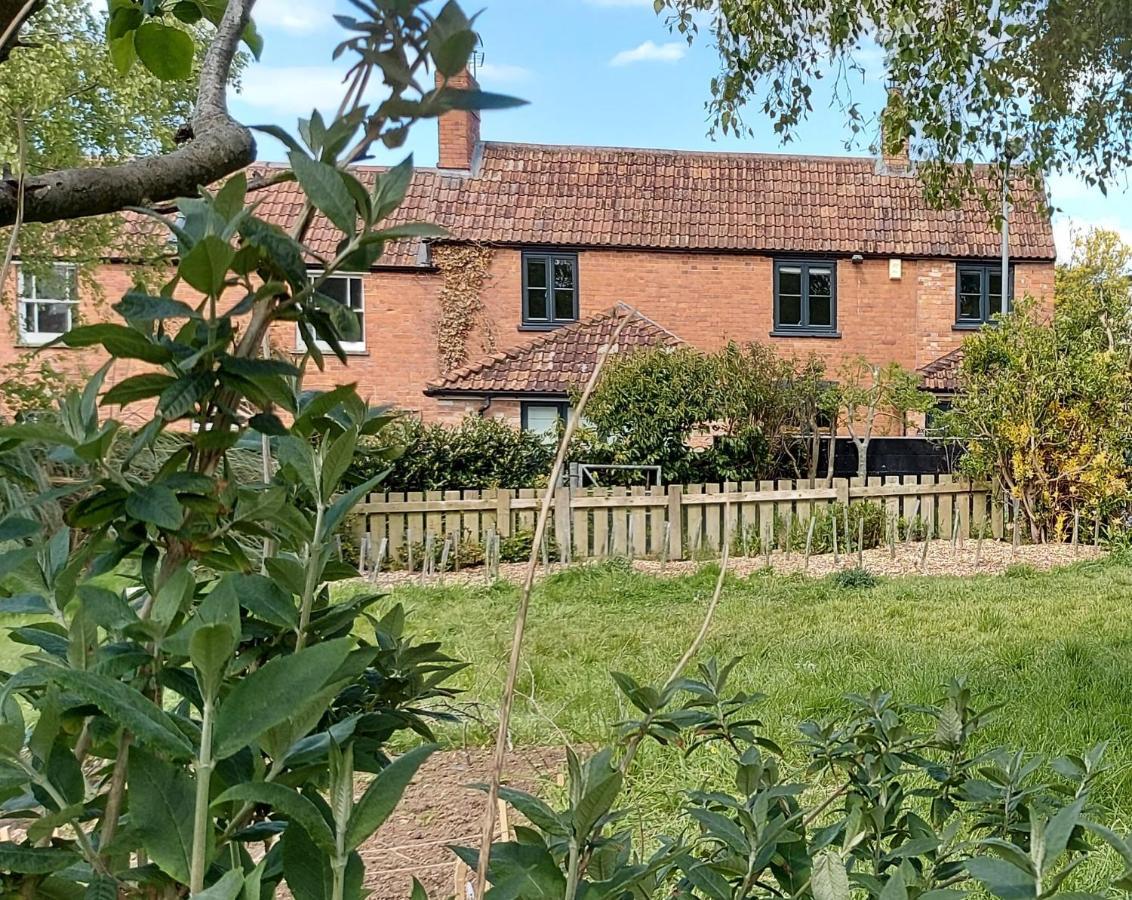 Tor Cottage, Perfectly Positioned! 格拉斯顿伯里 外观 照片